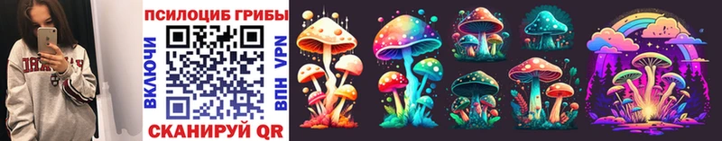 Псилоцибиновые грибы ЛСД  OMG ссылка  Дальнереченск 